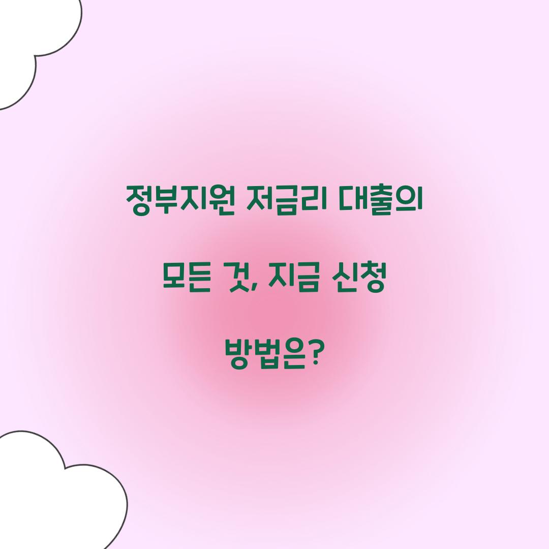 정부지원 저금리 대출