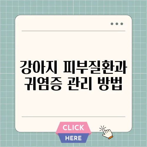 강아지 피부질환과 귀염증 관리 방법