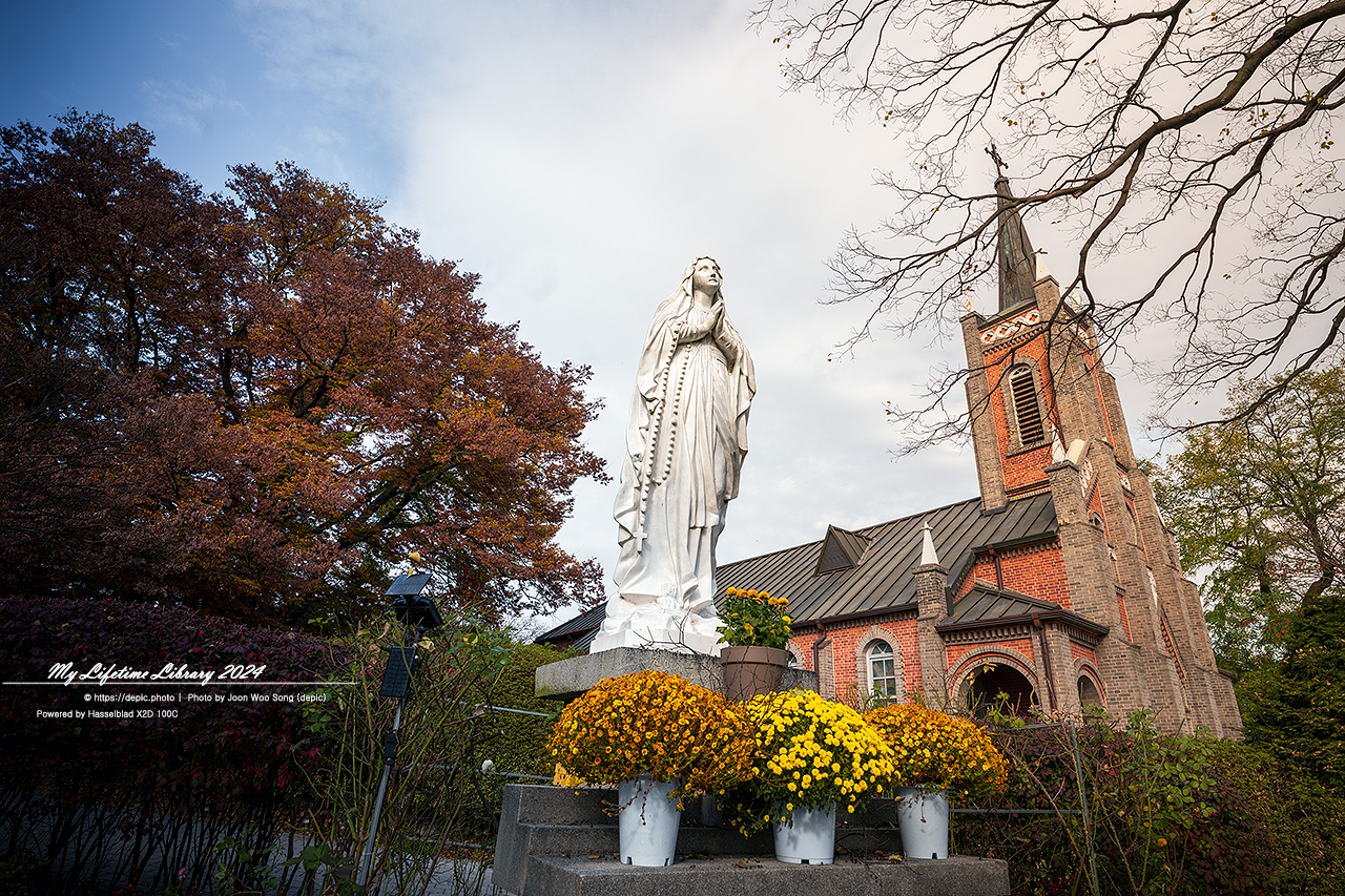 아산 공세리성당 가을 은행 성당 가톨릭