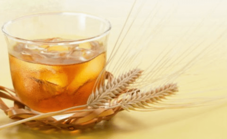 보리와 보리차 사진 - 7