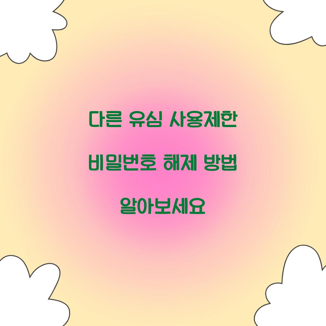 다른 유심 사용제한 비밀번호