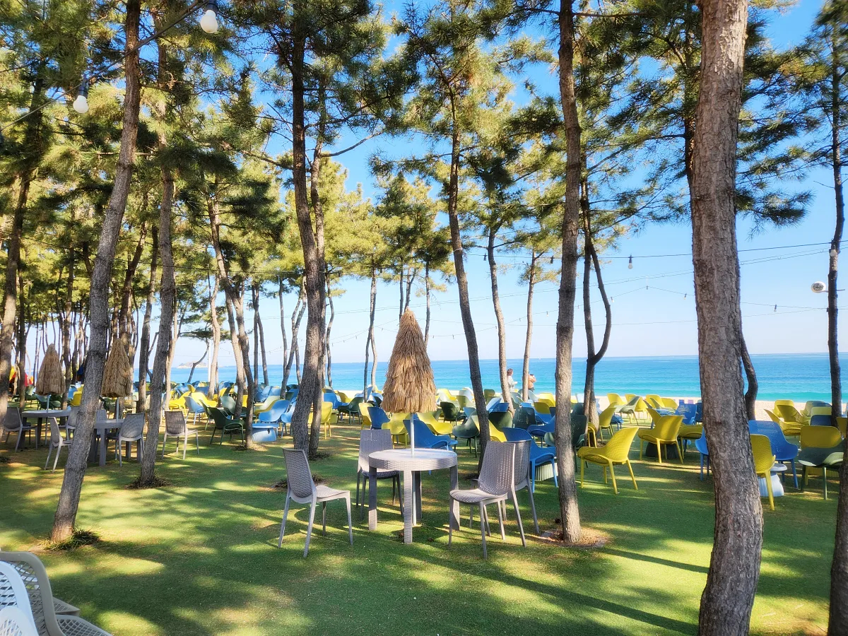 바다정원-나무들