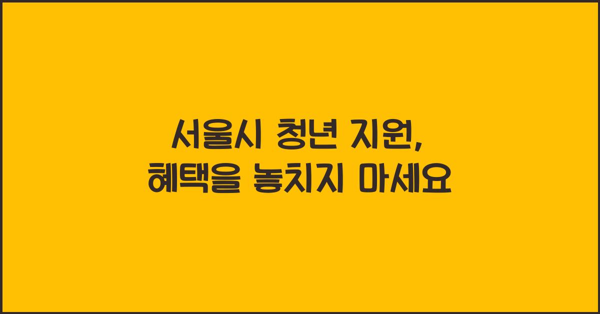 서울시 청년 지원