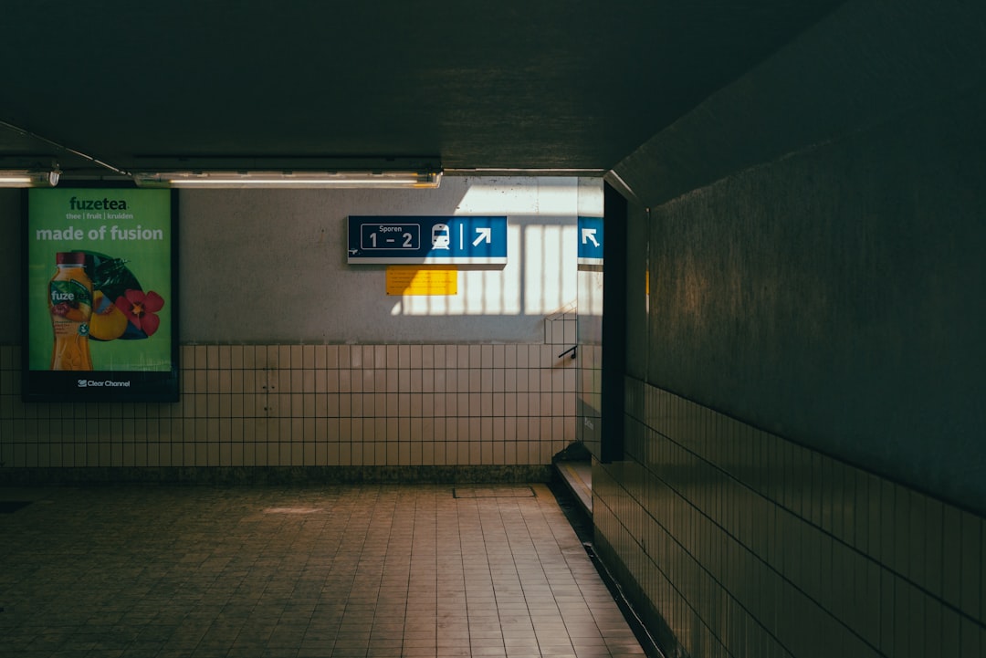 Public Rental