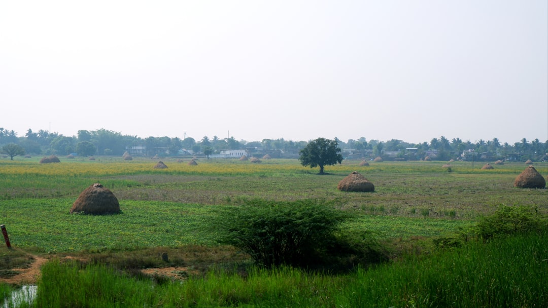 Agricultural zone