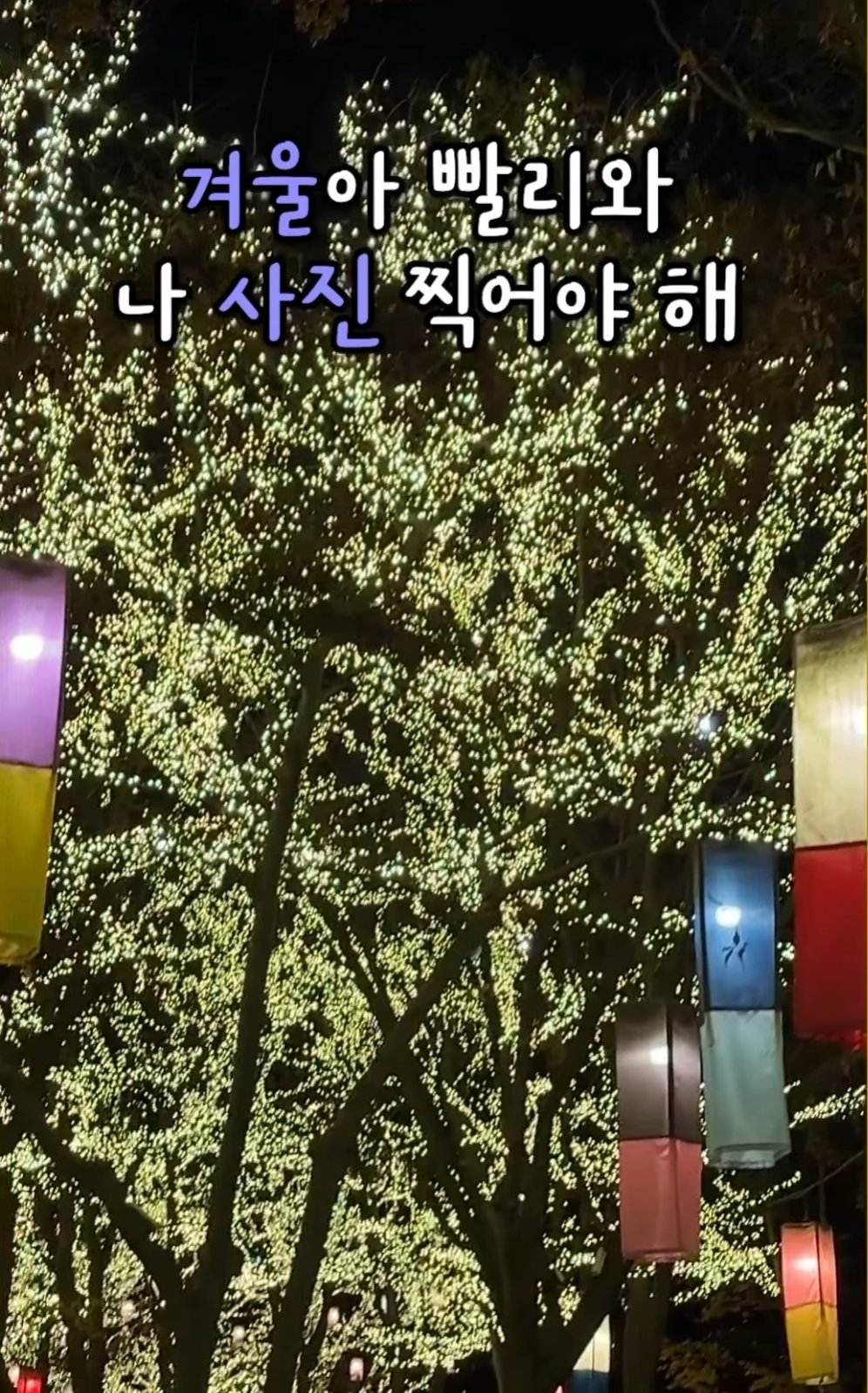 민속촌 겨울 야경 조명 장식과 포토존