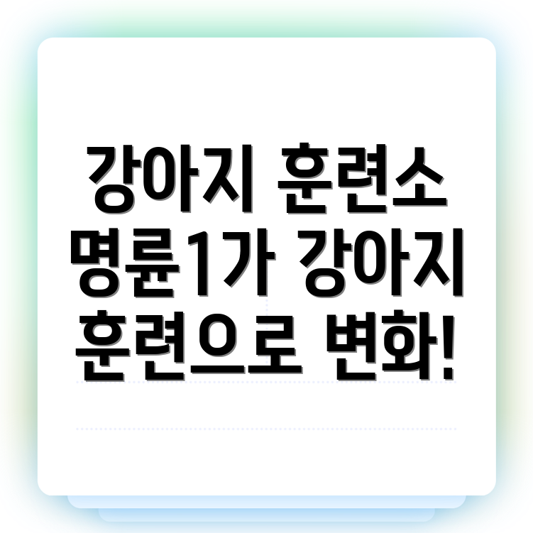 강아지 훈련소