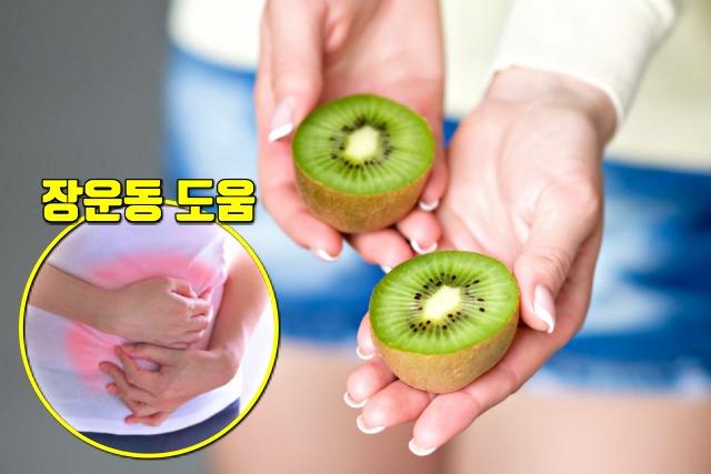 키위 효능, 변비에 좋은 음식 변비해결방법, 건강 팁줌 매일꿀정보