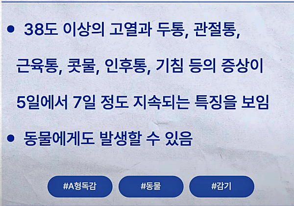 A형 독감
