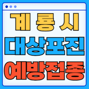 충남 계룡시 대상포진 백신 무료 예방접종 비용지원 신청방법 대상자 준비서류
