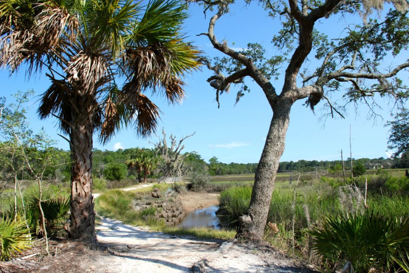 미국 남부의 조용한 도시: 사바나 외곽의 자연과 현지 맛집