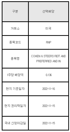미국주식 선택배당 안내 RNP