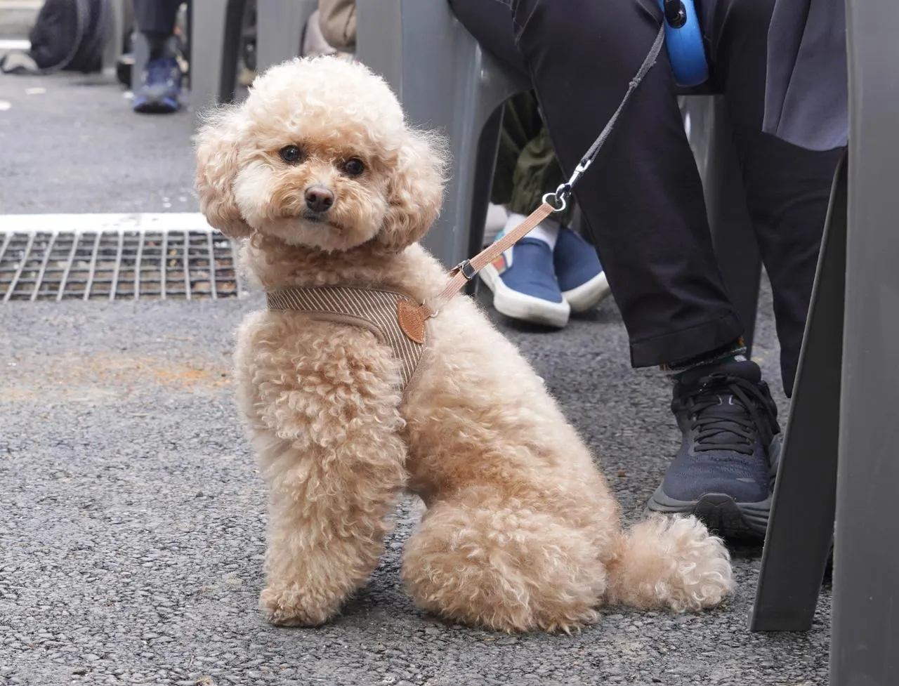 서대문구 내품애센터
