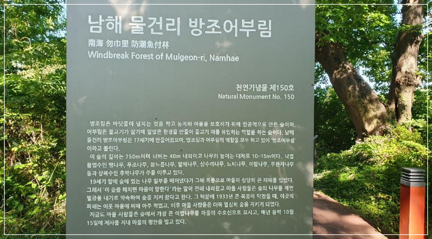 남해 가볼만한곳 베스트10 물건 방조어부림