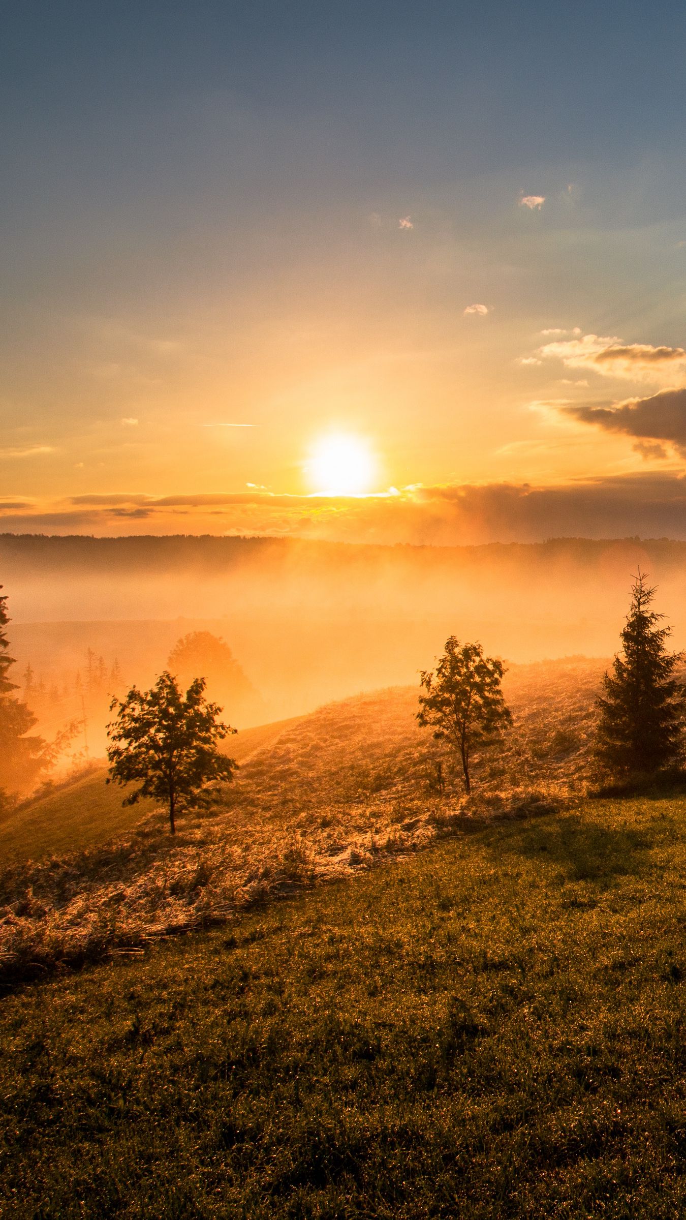 배경화면-하기-좋은-사진