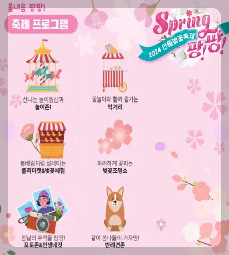 안동 벚꽃축제_8