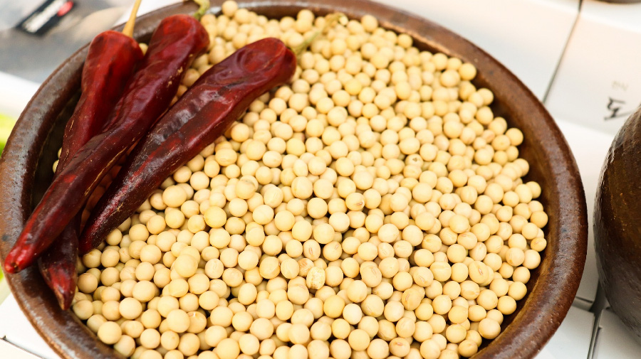 야생에서 채취를 한 노란 된장콩을 잘 세척한 후에 동그란 항아리 뚜겅에 수북하게 쌓아두고 그 옆에 빨간 고추 3개를 같이 놓아두고 찍은 사진
