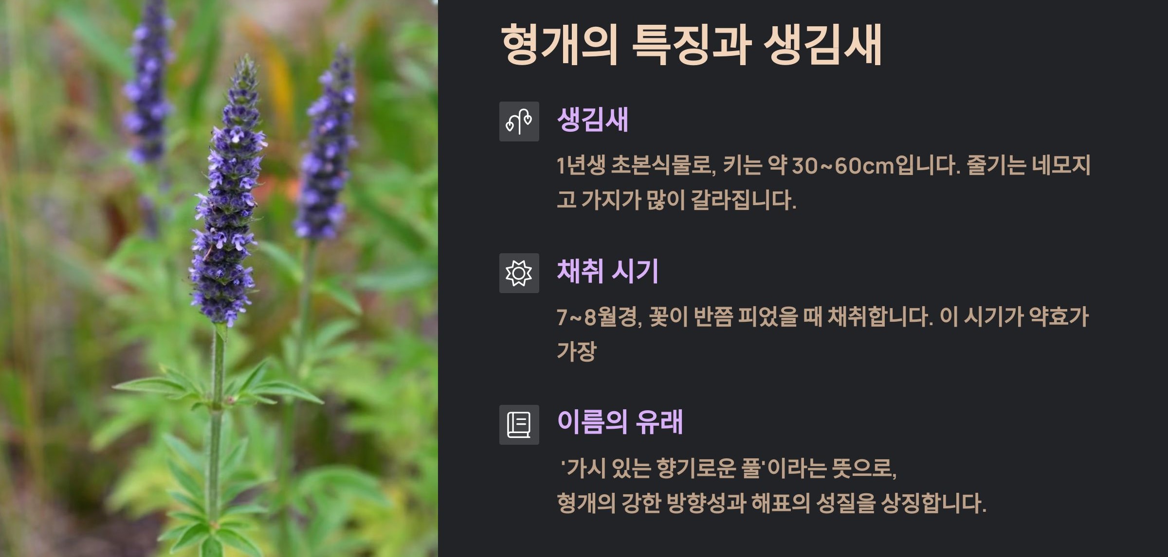 형개의 생김새
