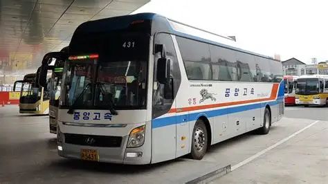 포항고속버스터미널 시간표