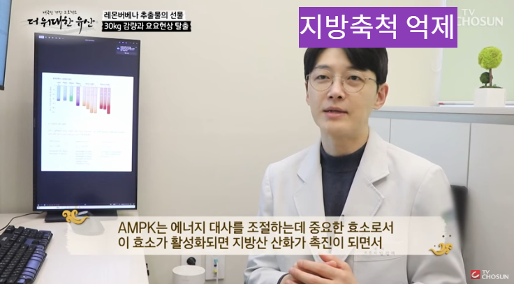 레몬버베나의 효능과 다이어트 효과