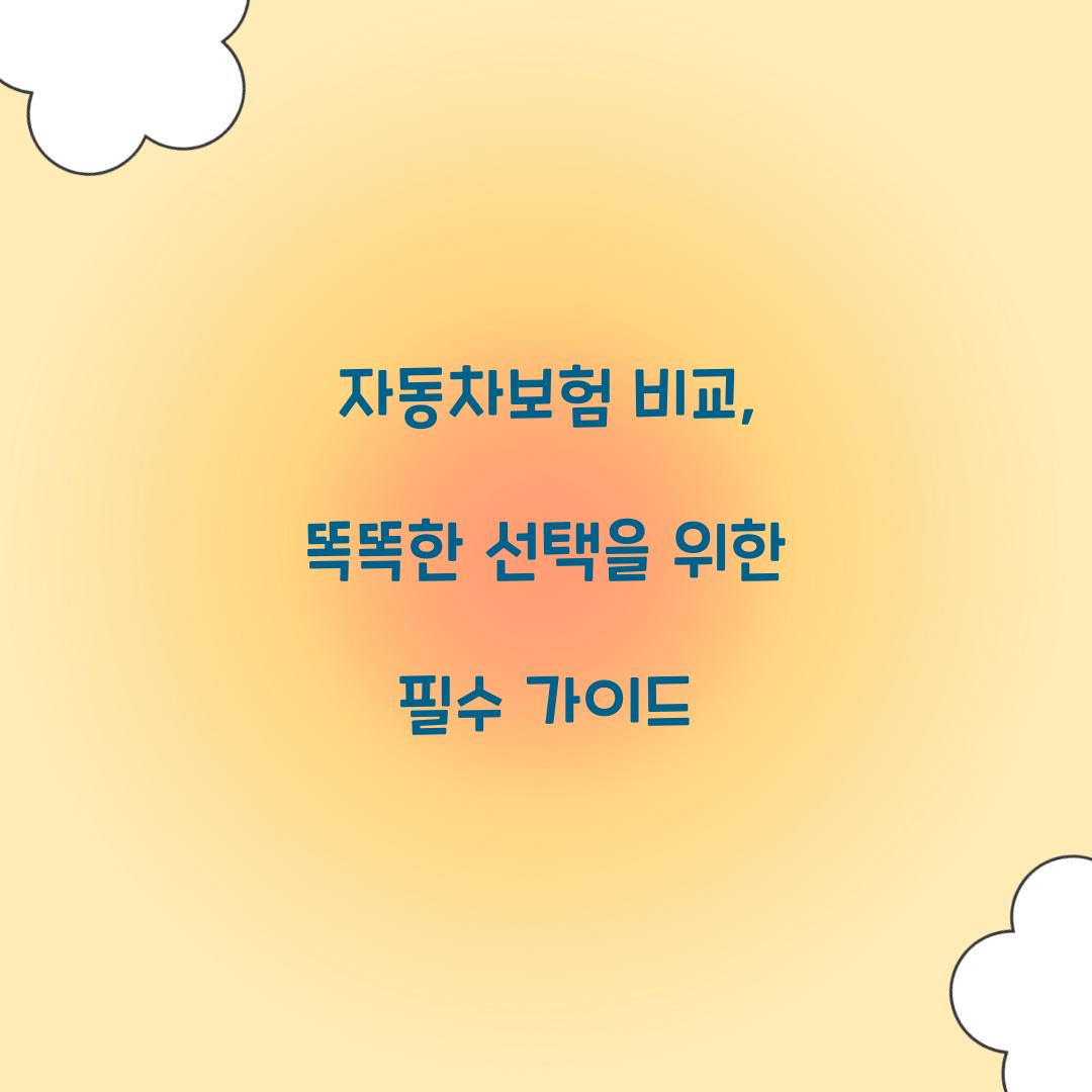 자동차보험 비교