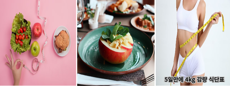 5일만에 4kg 감량 식단표