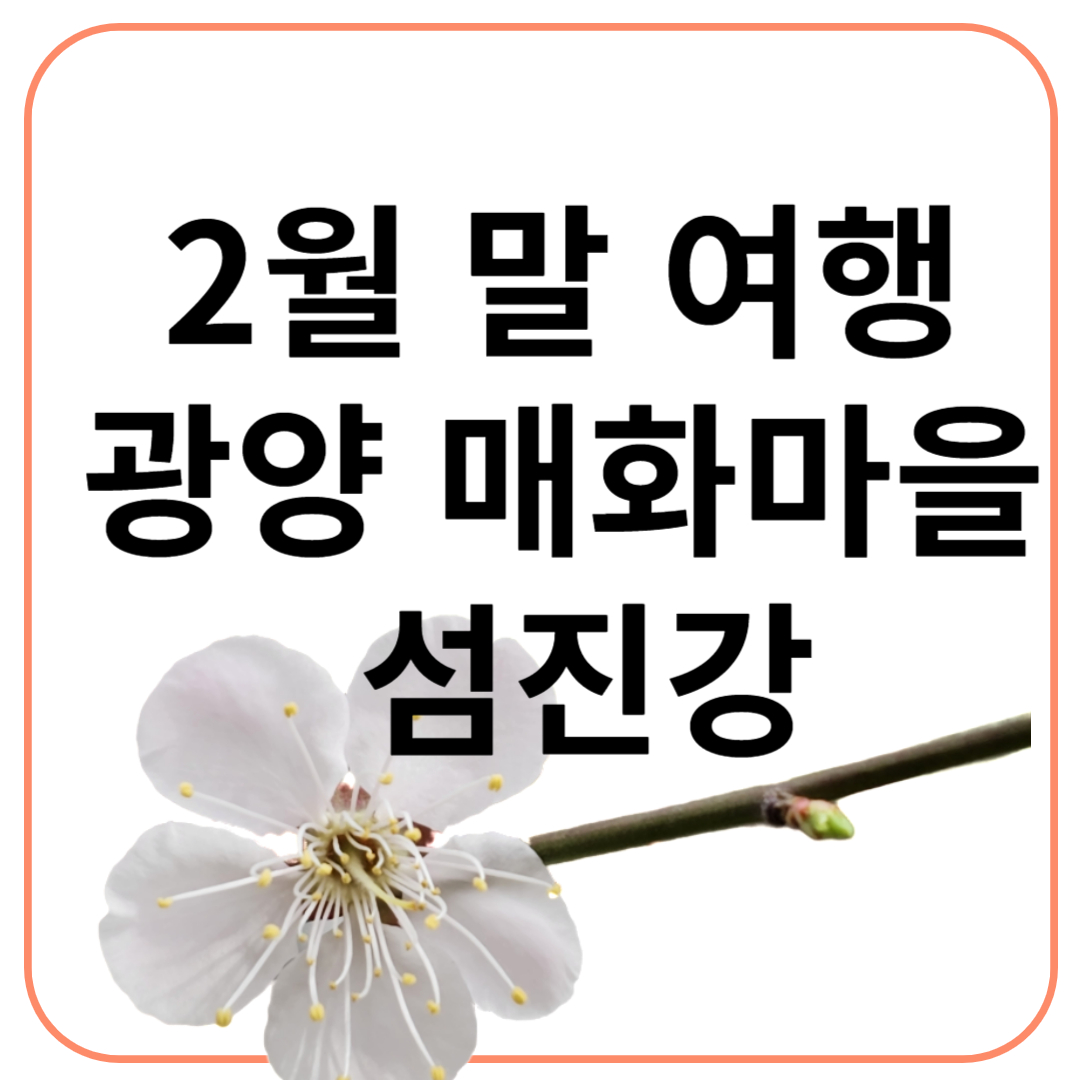 2월 말 여행 봄의시작 광양 매화마을과 섬진강