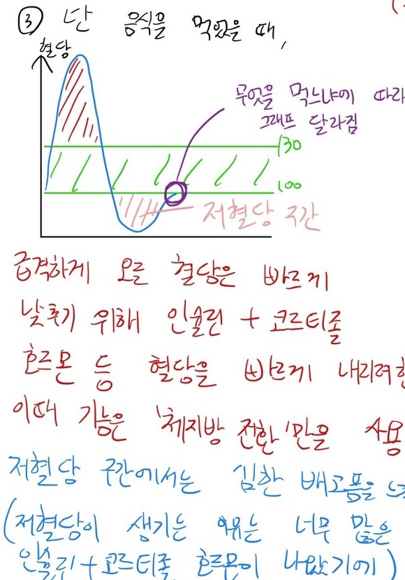 혈당이 급격히 오를 때: 식 후 소화가 빠른 음식