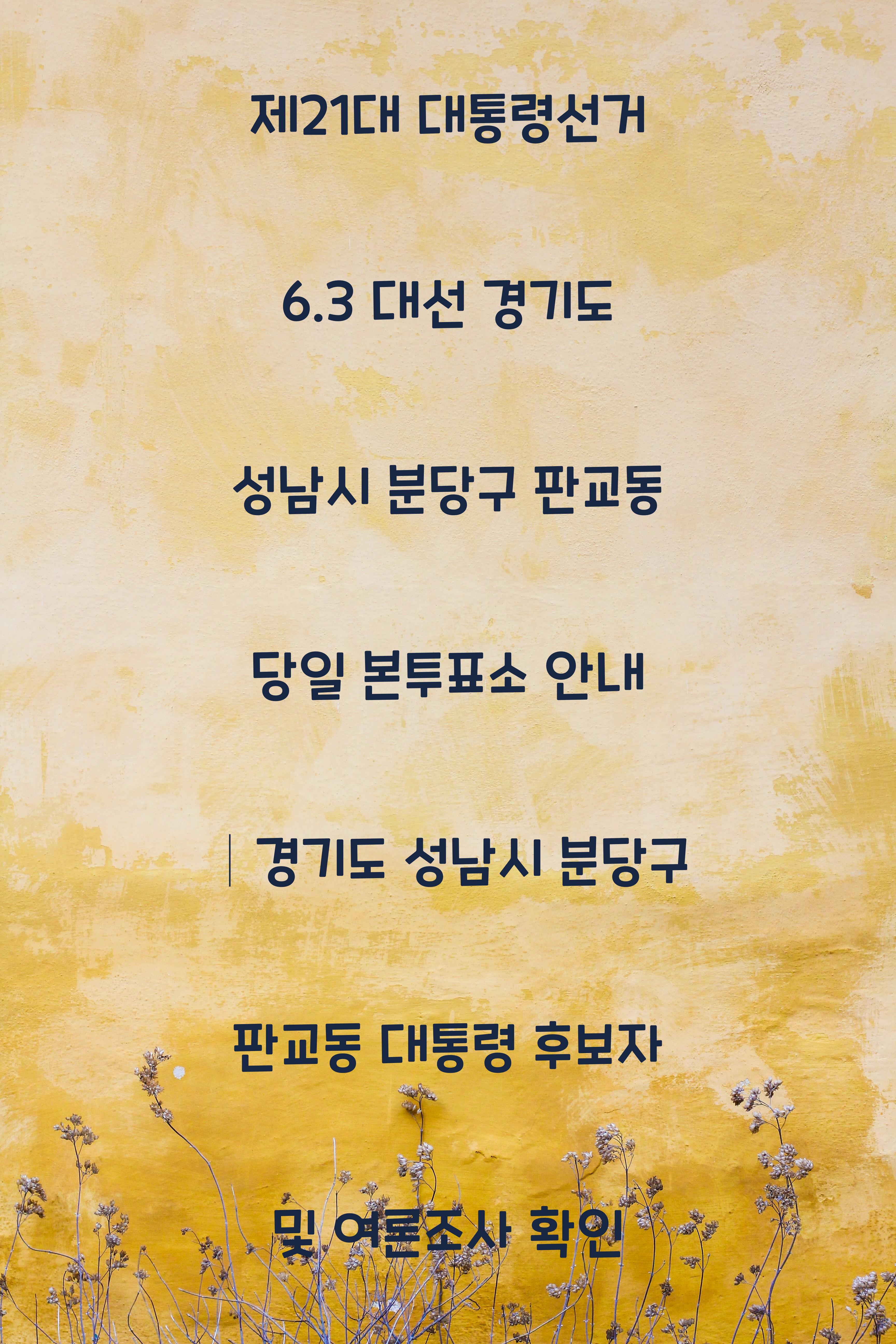 제21대 대통령선거 6.3 대선 경기도 성남시 분당구 판교동 당일 본투표소 안내 │경기도 성남시 분당구 판교동 대통령 후보자 및 여론조사 확인