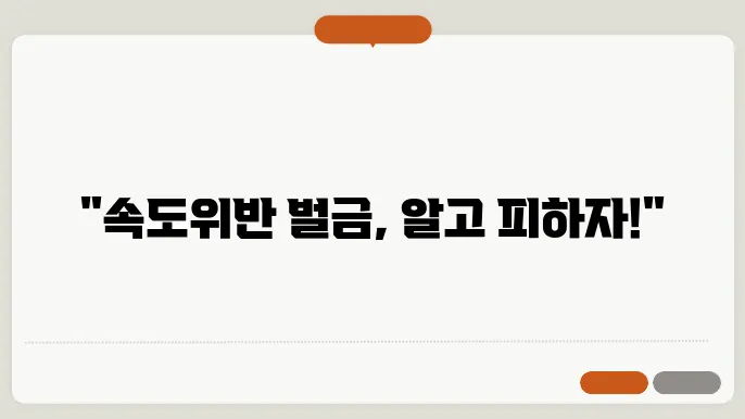 속도위반 범칙금 과태료