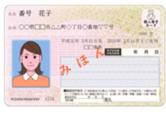 견본이라고 일본어로 적혀 일본의 마이넘버카드 그림