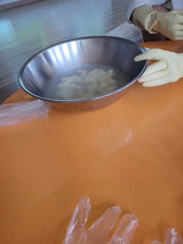 임실 치즈테마파크 치즈만들기