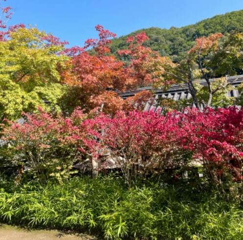 화담숲 사진