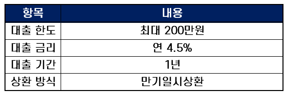 무직자소액대출 KB국민은행 비상금대출
