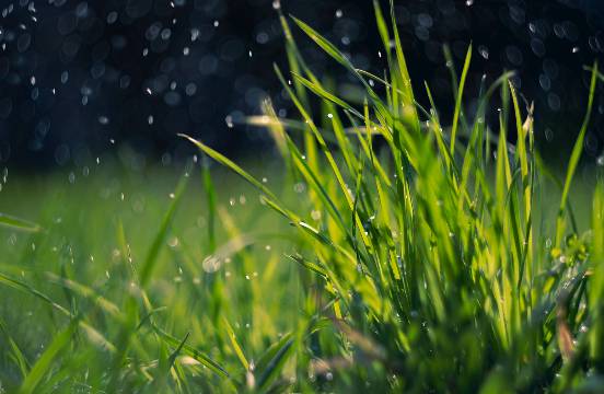 2025 장마 기간, 지역별 예상 일정