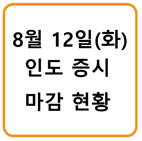 2025년 8월 12일(화) 인도증시 마감 시황 : 금융주 약세로 지수 하락, 자동차·에너지 섹터 강세 지속