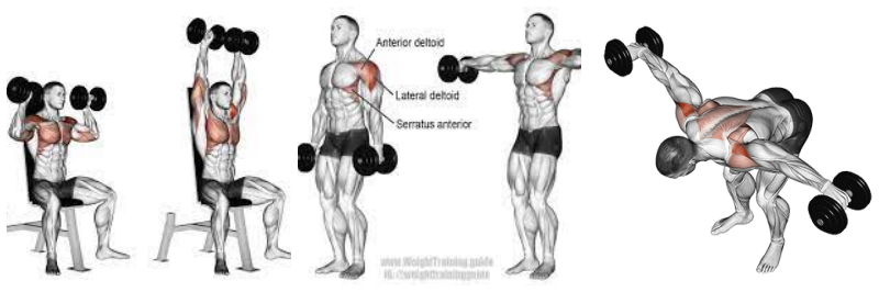 숄더 프레스, 사이드 레터럴 레이즈, 벤트 오버 레이즈 사진