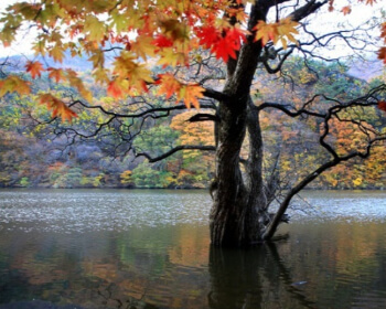 단풍 명소 주왕산_1