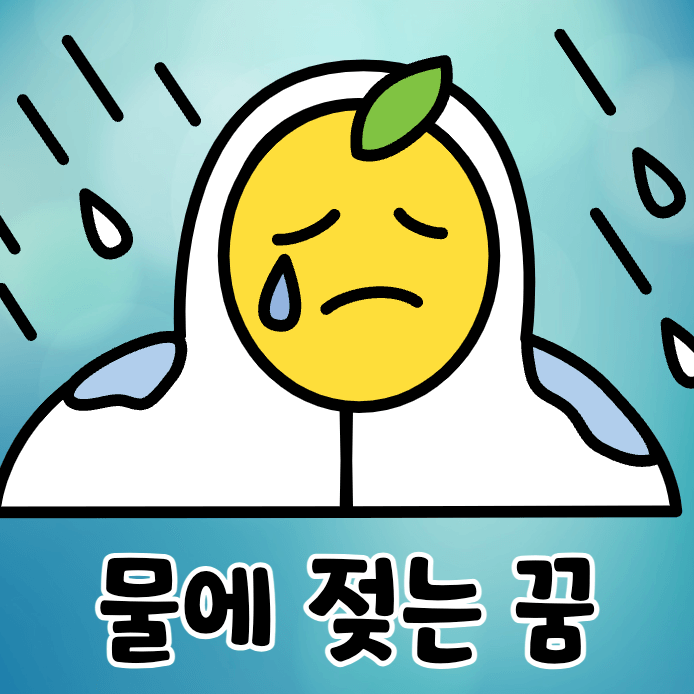 비가 와서 물에 젖은 귤