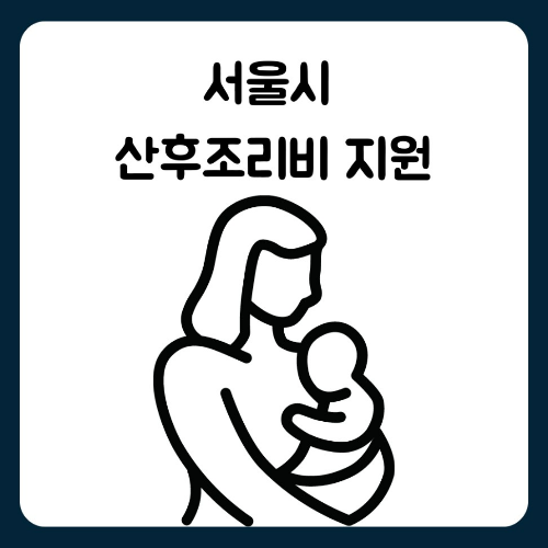 서울시 산후조리비 지원 신청 및 혜택 산후조리원 불가