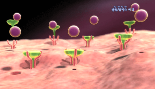 당뇨병 발생 원인