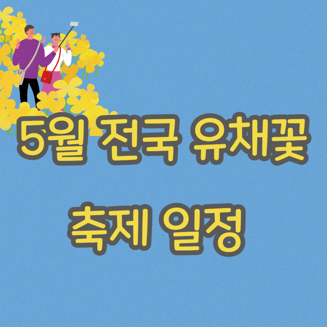 전국 유채꽃 축제 일정