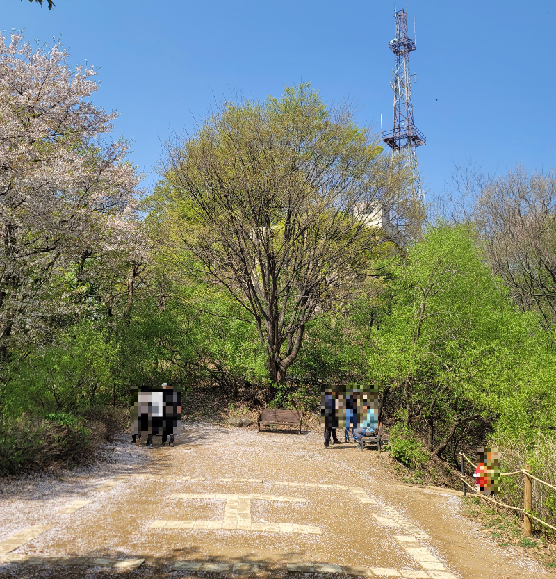 안산 헬기 착륙장