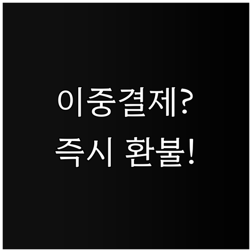 넷플릭스 이중 결제 환불 요청 방법과..