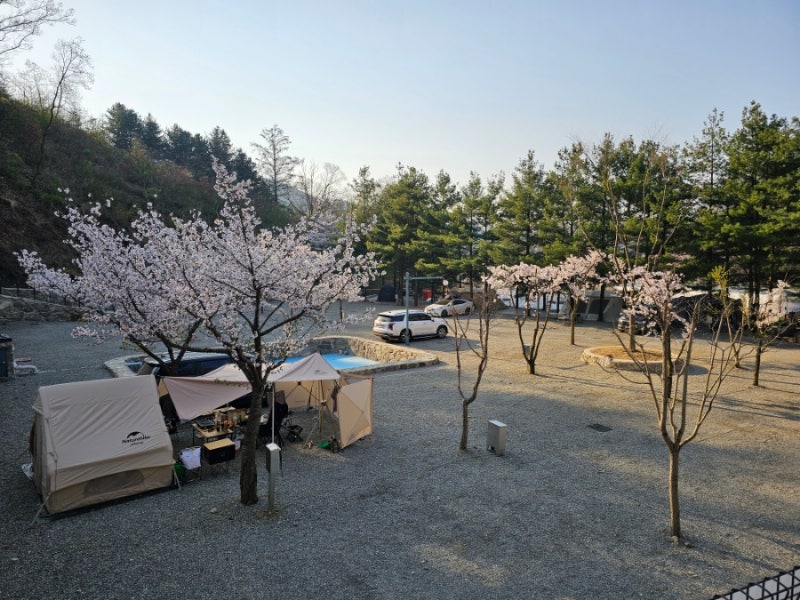 천안 아우내관광농원캠핑장 소개