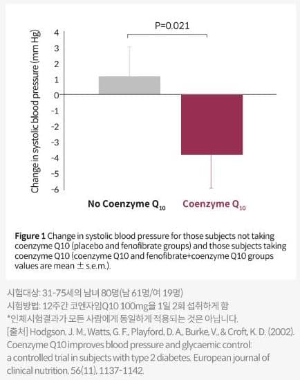 코엔자임 Q10 효능