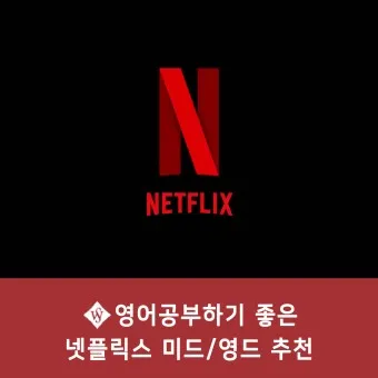 넷플릭스 순위 미드 일드 베스트 10_7