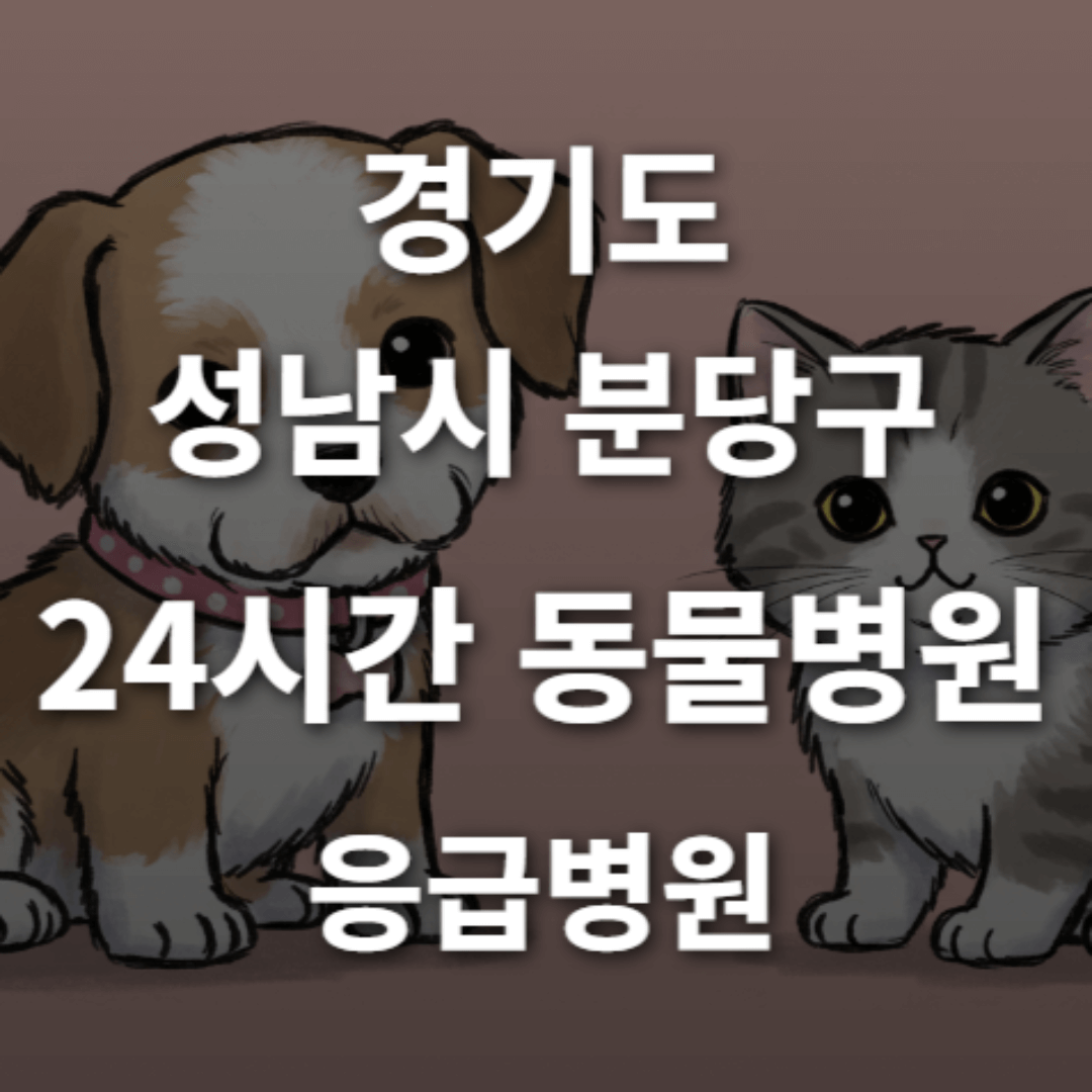 [경기도 성남시 분당구 24시간 동물병원(구미동, 정자동, 야탑동)] 365일 연중무휴 반려동물 응급상황 대처 가능한 진료소