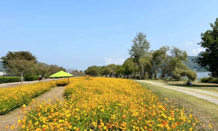 남양주 물의정원