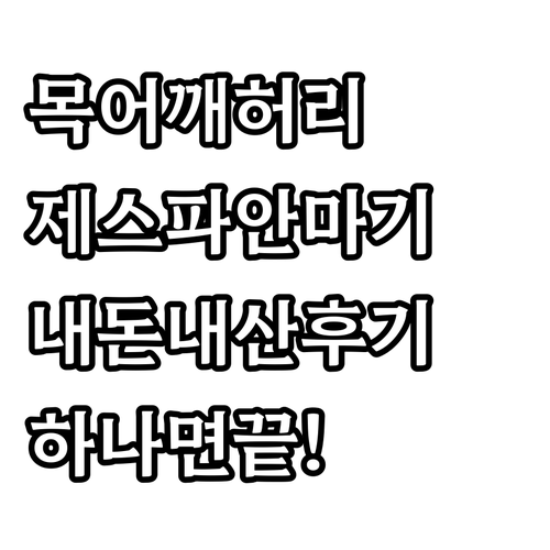 목/어깨/허리 마사지, 제스파 안마기..